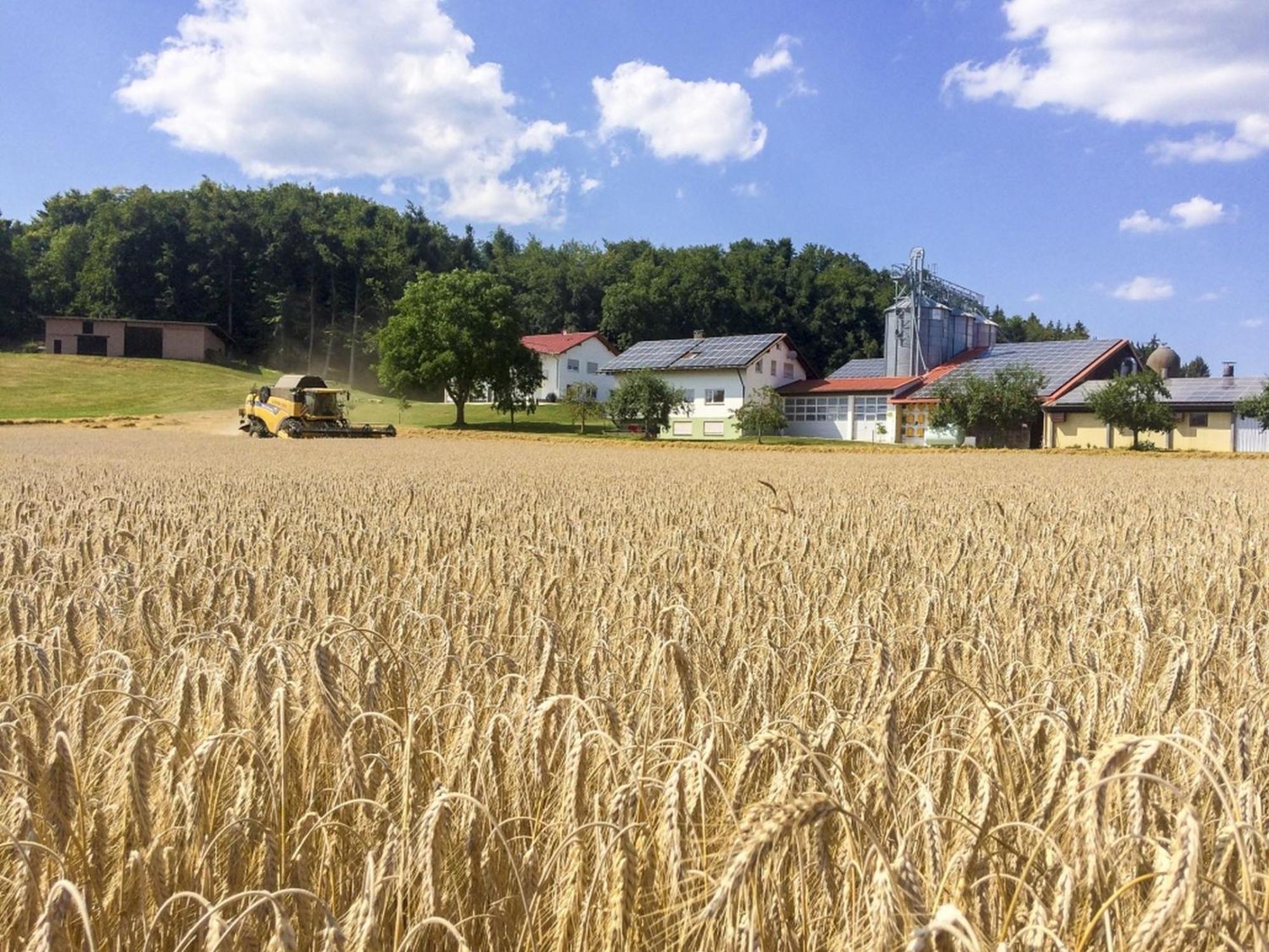 Hof Am Horn - Fewos In Der Natur Laichingen Luaran gambar