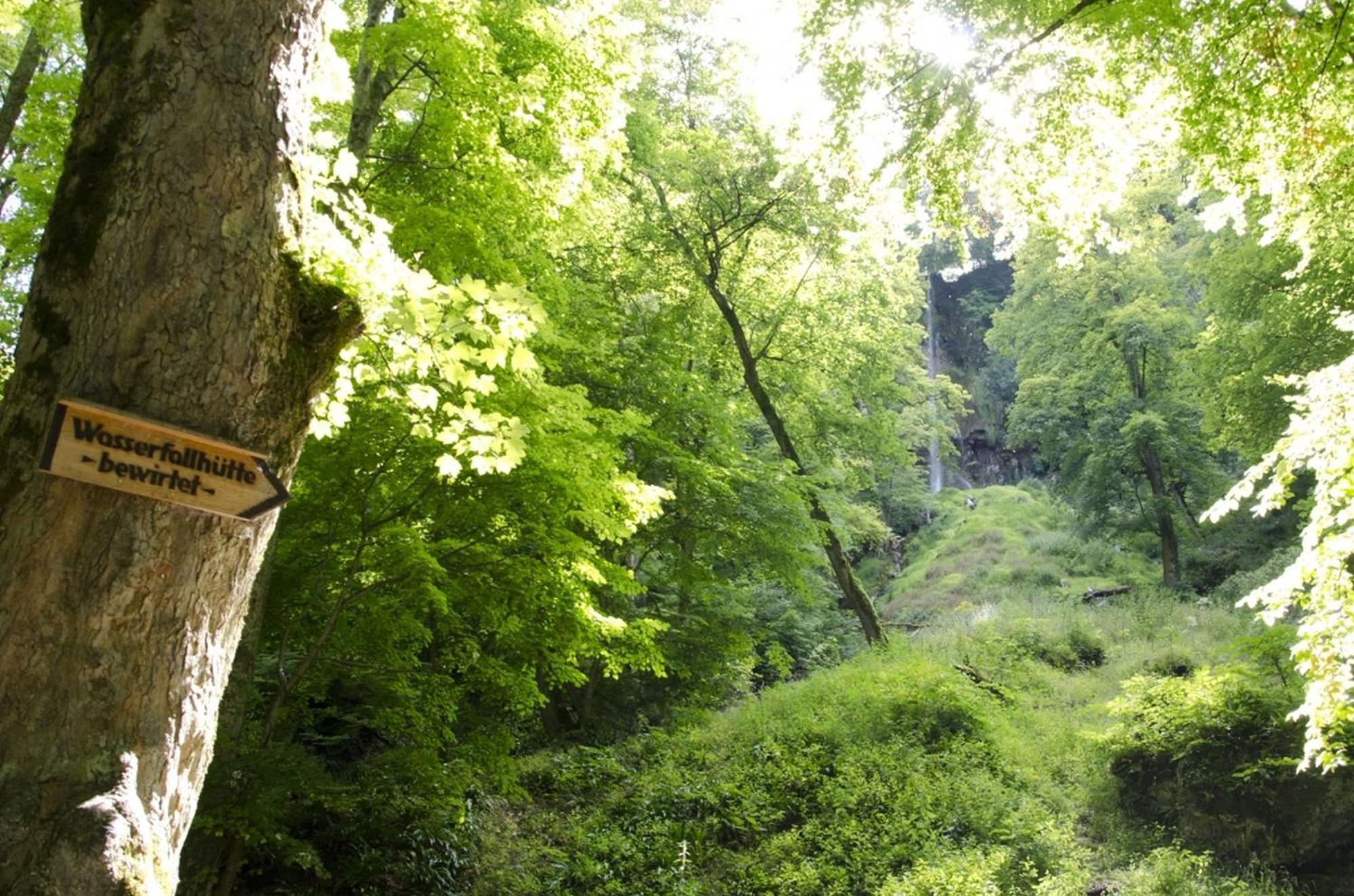 Hof Am Horn - Fewos In Der Natur Laichingen Luaran gambar